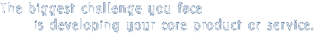 The biggest challenge you face is developing your core product or service.